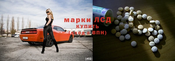 прущие грибы Куйбышев