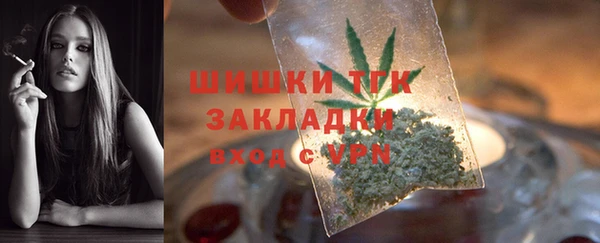 прущие грибы Куйбышев