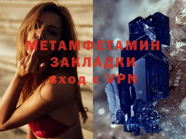 прущие грибы Куйбышев