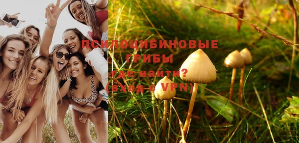 прущие грибы Куйбышев